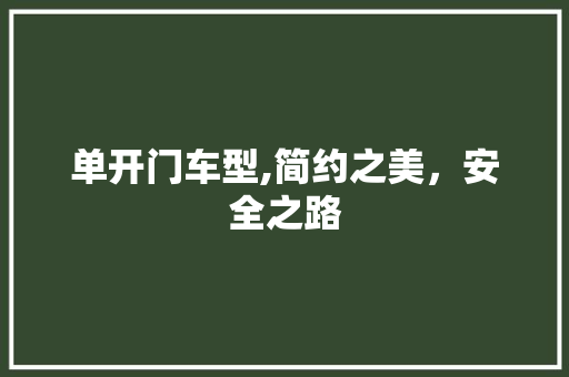 单开门车型,简约之美，安全之路