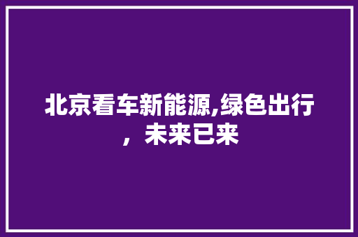 北京看车新能源,绿色出行，未来已来
