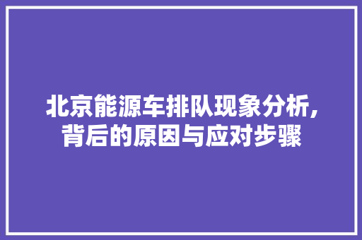 北京能源车排队现象分析,背后的原因与应对步骤