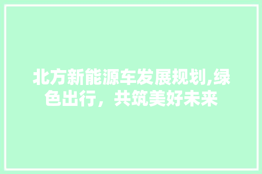 北方新能源车发展规划,绿色出行，共筑美好未来