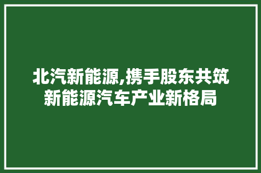 北汽新能源,携手股东共筑新能源汽车产业新格局