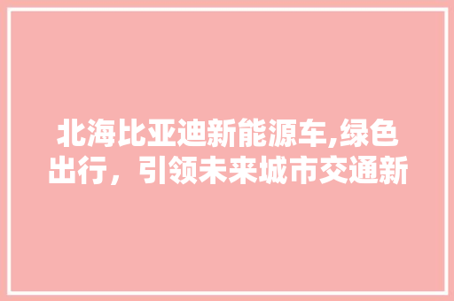 北海比亚迪新能源车,绿色出行，引领未来城市交通新风尚