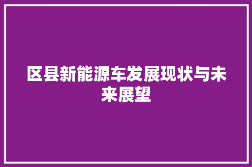 区县新能源车发展现状与未来展望