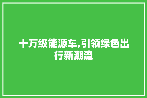 十万级能源车,引领绿色出行新潮流