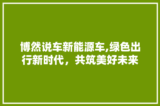 博然说车新能源车,绿色出行新时代，共筑美好未来