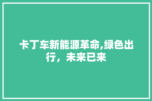 卡丁车新能源革命,绿色出行，未来已来