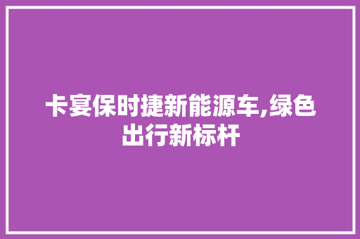 卡宴保时捷新能源车,绿色出行新标杆