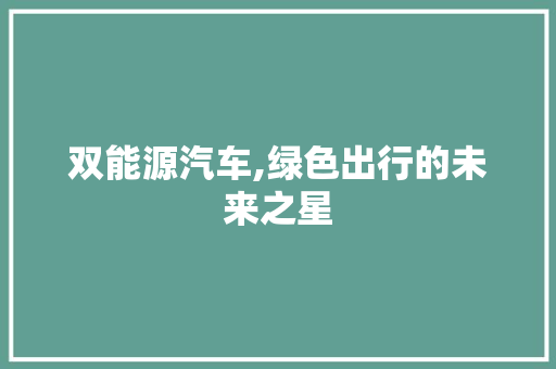 双能源汽车,绿色出行的未来之星