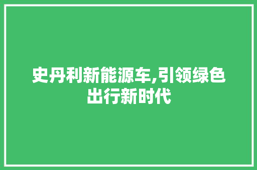 史丹利新能源车,引领绿色出行新时代