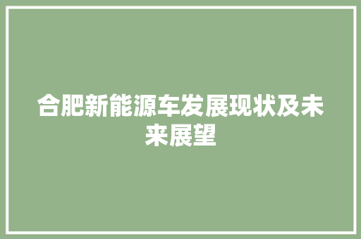 合肥新能源车发展现状及未来展望 新款车型