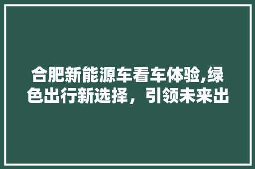 合肥新能源车看车体验,绿色出行新选择，引领未来出行潮流