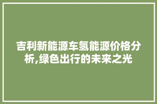 吉利新能源车氢能源价格分析,绿色出行的未来之光