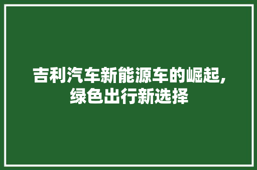吉利汽车新能源车的崛起,绿色出行新选择