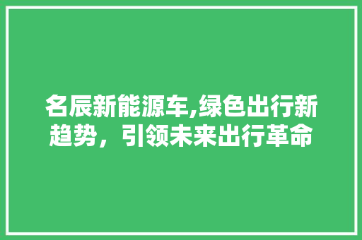 名辰新能源车,绿色出行新趋势，引领未来出行革命