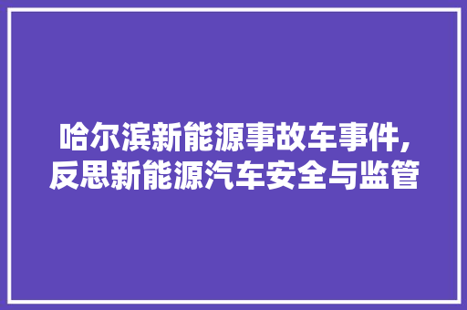 哈尔滨新能源事故车事件,反思新能源汽车安全与监管