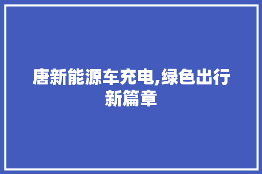 唐新能源车充电,绿色出行新篇章