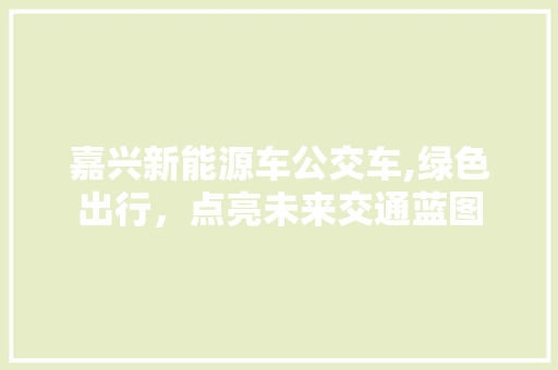 嘉兴新能源车公交车,绿色出行，点亮未来交通蓝图