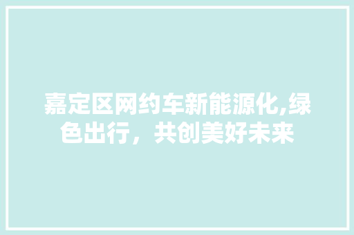 嘉定区网约车新能源化,绿色出行，共创美好未来
