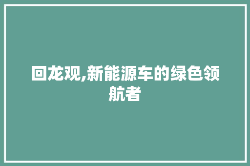回龙观,新能源车的绿色领航者