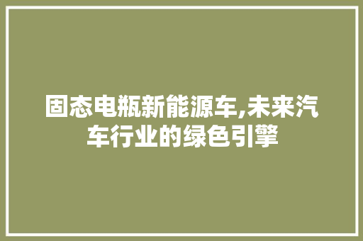 固态电瓶新能源车,未来汽车行业的绿色引擎