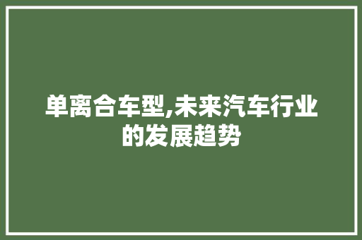 单离合车型,未来汽车行业的发展趋势