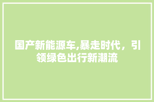 国产新能源车,暴走时代，引领绿色出行新潮流