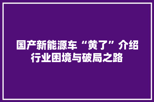 国产新能源车“黄了”介绍行业困境与破局之路