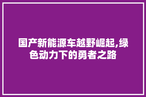 国产新能源车越野崛起,绿色动力下的勇者之路