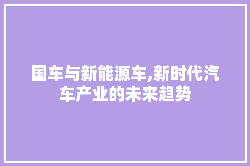 国车与新能源车,新时代汽车产业的未来趋势