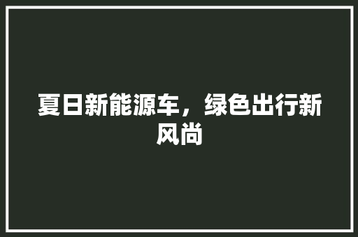 夏日新能源车，绿色出行新风尚