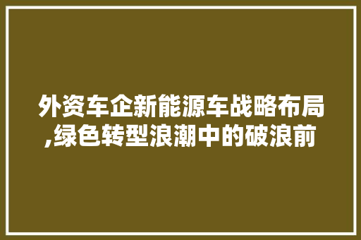 外资车企新能源车战略布局,绿色转型浪潮中的破浪前行