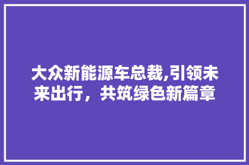 大众新能源车总裁,引领未来出行，共筑绿色新篇章