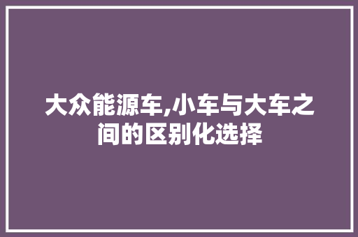 大众能源车,小车与大车之间的区别化选择