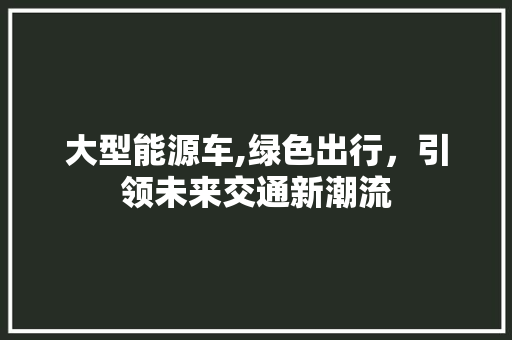 大型能源车,绿色出行，引领未来交通新潮流