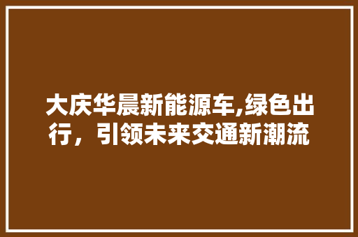 大庆华晨新能源车,绿色出行，引领未来交通新潮流