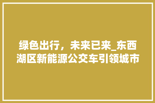 绿色出行，未来已来_东西湖区新能源公交车引领城市环保新风尚