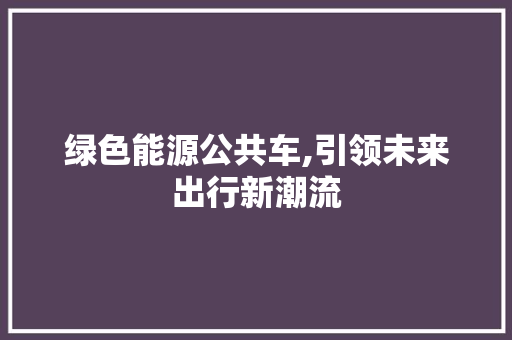 绿色能源公共车,引领未来出行新潮流