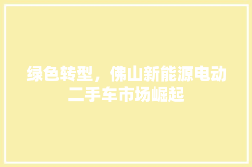 绿色转型，佛山新能源电动二手车市场崛起