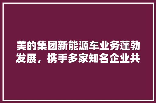 美的集团新能源车业务蓬勃发展，携手多家知名企业共筑绿色未来