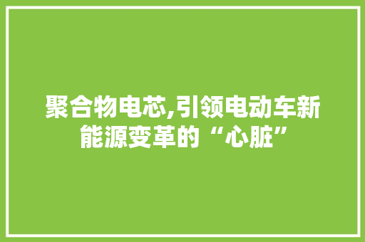 聚合物电芯,引领电动车新能源变革的“心脏”