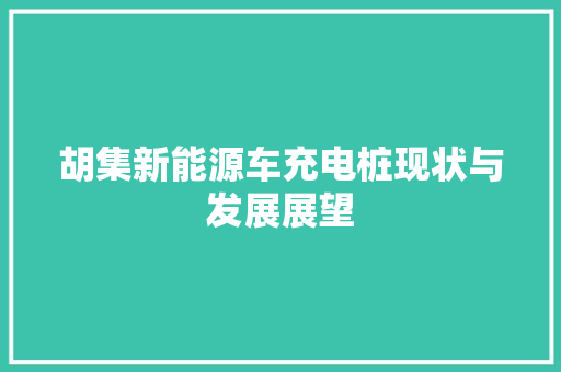 胡集新能源车充电桩现状与发展展望