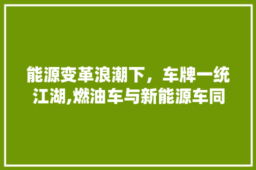 能源变革浪潮下，车牌一统江湖,燃油车与新能源车同台竞技