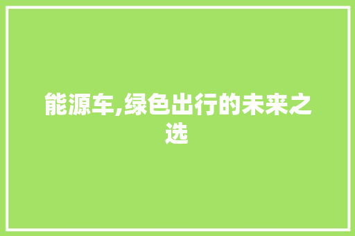 能源车,绿色出行的未来之选