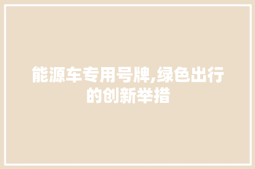 能源车专用号牌,绿色出行的创新举措 汽车配件