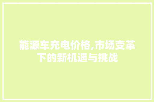 能源车充电价格,市场变革下的新机遇与挑战