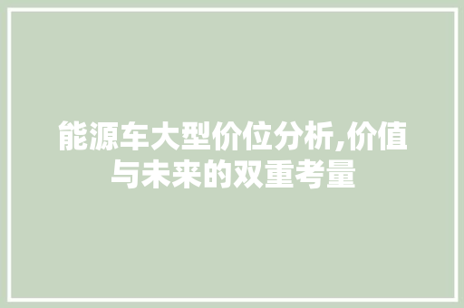 能源车大型价位分析,价值与未来的双重考量