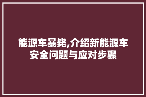 能源车暴毙,介绍新能源车安全问题与应对步骤