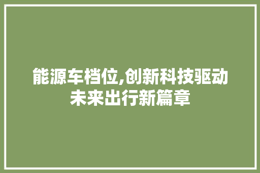 能源车档位,创新科技驱动未来出行新篇章