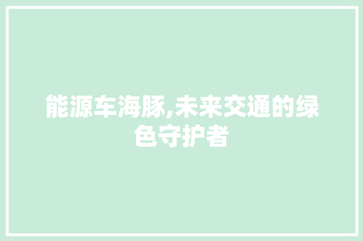 能源车海豚,未来交通的绿色守护者