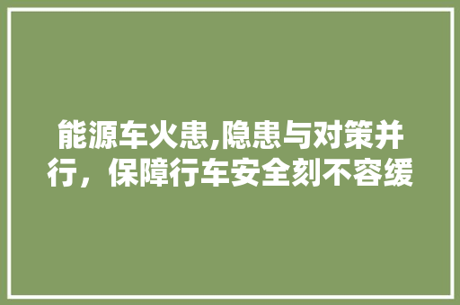 能源车火患,隐患与对策并行，保障行车安全刻不容缓